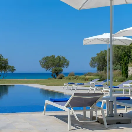 Renee Front Executive Luxury