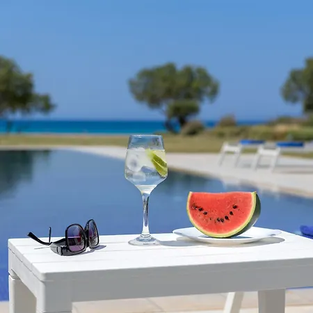 Renee Front Executive Luxury Villa Soroni