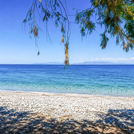 Villa Renee Front Executive Luxury *