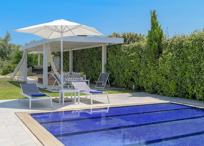 Renee Front Executive Luxury