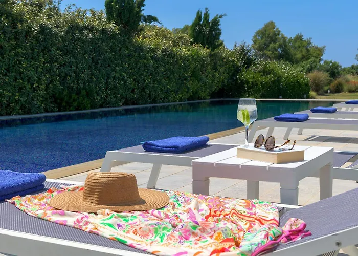 Renee Front Executive Luxury Soroni